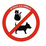 La Pépite De La Place *