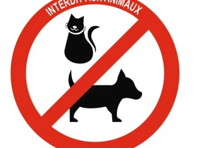 La Pepite De La Place *